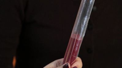 маршмеллоу в малиновой глазировке