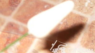 мастика из маршмеллоу и розы