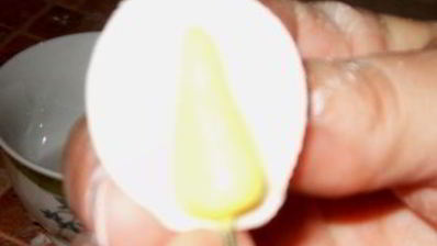 мастика из маршмеллоу и розы