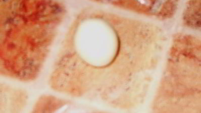 мастика из маршмеллоу и розы