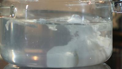 свекольно-картофельные драники с розовои трескои и яйцом пашот