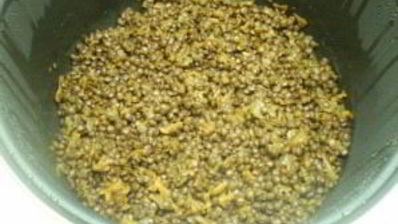 гарнир из чечевицы