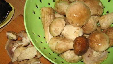 картофель с грибами по-селянски