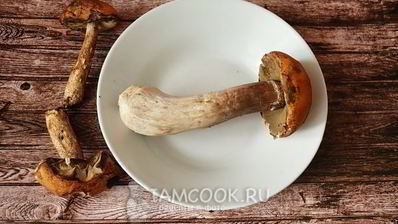 картошка с грибами и майонезом в духовке