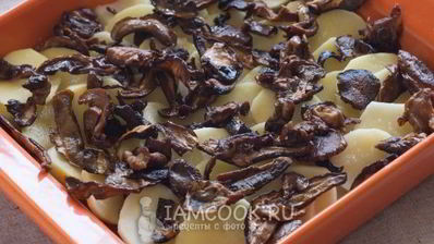 картошка с грибами в сметане в духовке