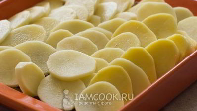 картошка с грибами в сметане в духовке