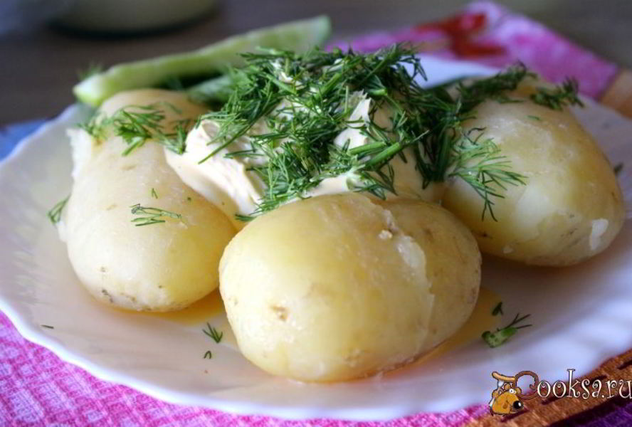 Молодой картофель со сметаной и зеленью