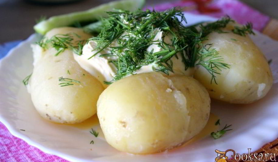 Рецепт молодого картофеля со сметаной и зеленью