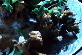 Рис с заправкой из тофу, лука и древесных грибов