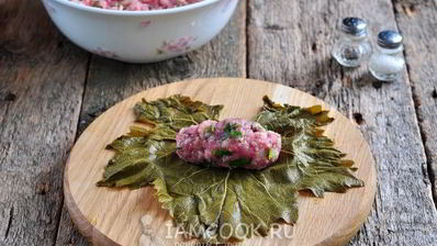 долма из маринованных виноградных листьев