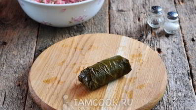 долма из маринованных виноградных листьев