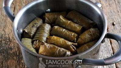 долма из маринованных виноградных листьев