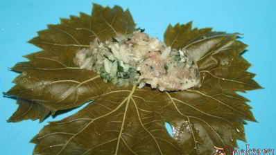 долма из молодых виноградных листьев с начинкой из смешанного фарша