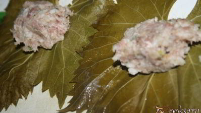 долма из свинины с яблоками