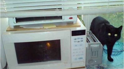 долма по-прикамски