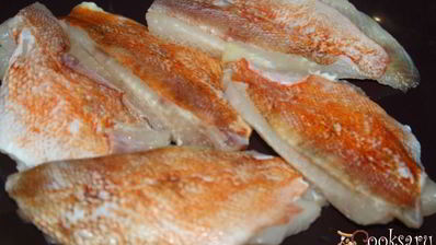 долма с филе морского окуня