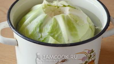 голубцы в томатном соусе