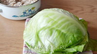 голубцы в томатном соусе