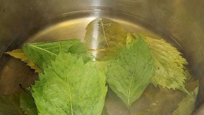 грузинская долма