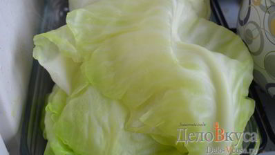 листья капусты для голубцов