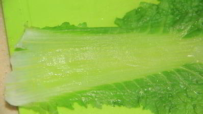 любимые голубцы