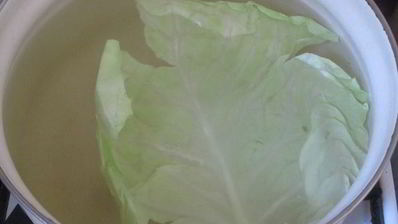 мини-голубцы на шпажках