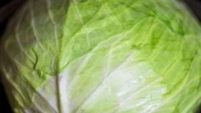 запеченные голубцы в сметанном соусе