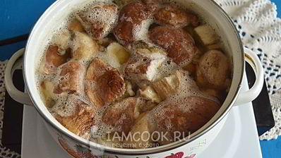 белые грибы в сметане