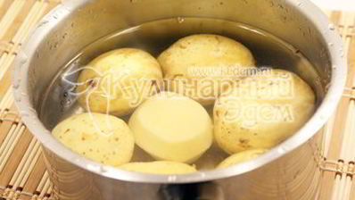 белые грибы в сметанном соусе