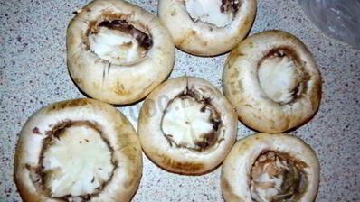 фаршированные шляпки шампиньончиков