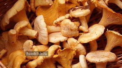 грибы-кокот