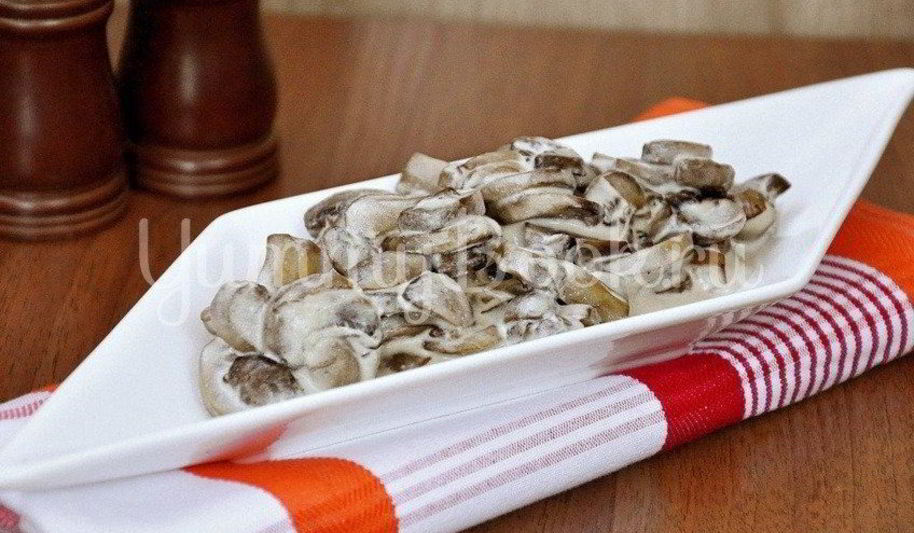 Рецепт грибов в сметане