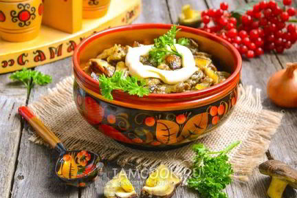 Моховики жареные