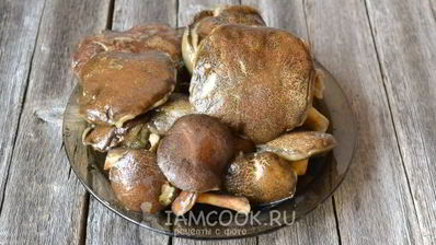 моховики жареные