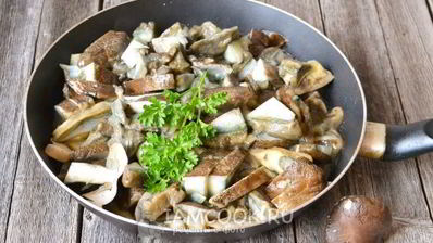 моховики жареные