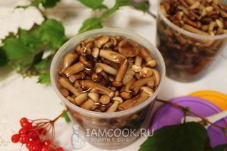 Опята в сладком маринаде