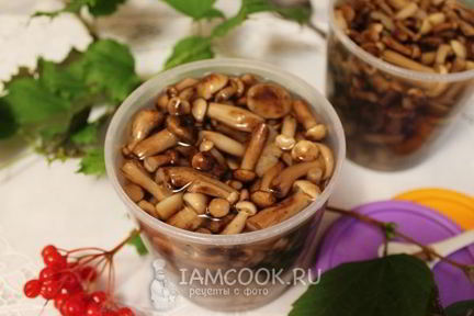 Опята в сладком маринаде