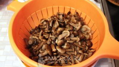 опята в сладком маринаде