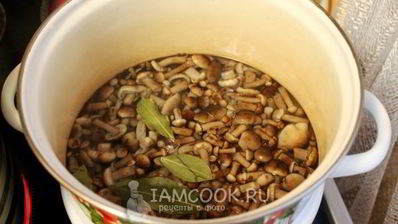 опята в сладком маринаде