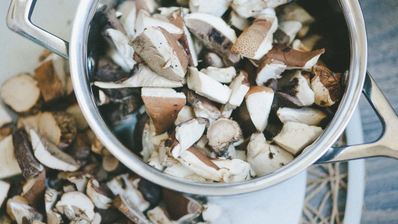 отварные лесные грибы