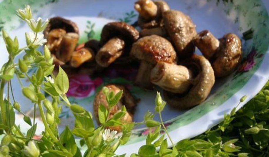 Рецепт печеных шампиньонов