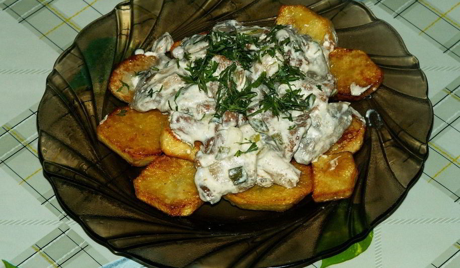 Рецепт подосиновиков, тушеных в сметане