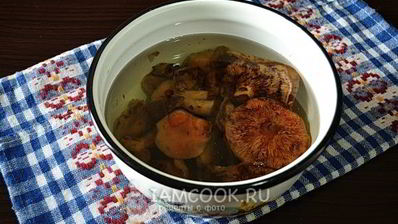 рыжики жареные