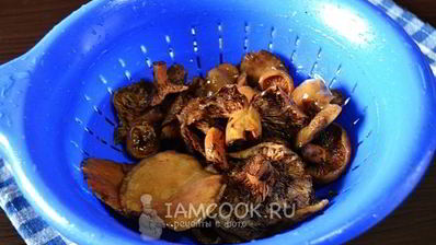 рыжики жареные