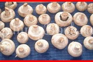 Шампиньоны фаршированные с беконом