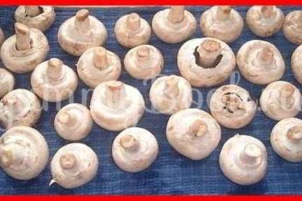 Шампиньоны фаршированные с беконом