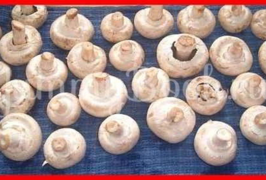 Шампиньоны фаршированные с беконом