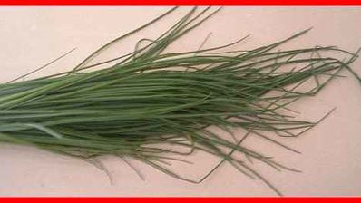 шампиньоны фаршированные с беконом