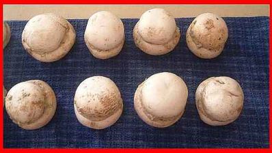 шампиньоны фаршированные с беконом