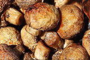 Шампиньоны на мангале